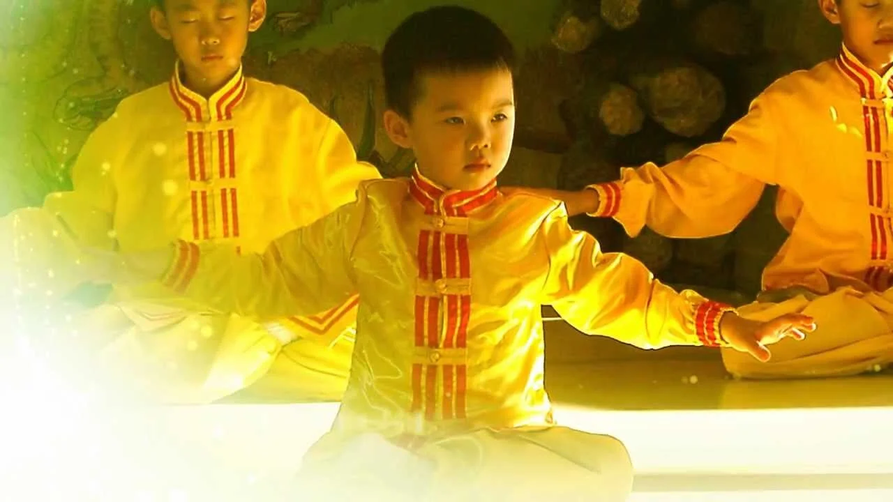 是不是大法弟子？（之一）