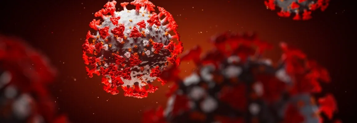 Documentary of COVID-19 Outbreak: Timeline