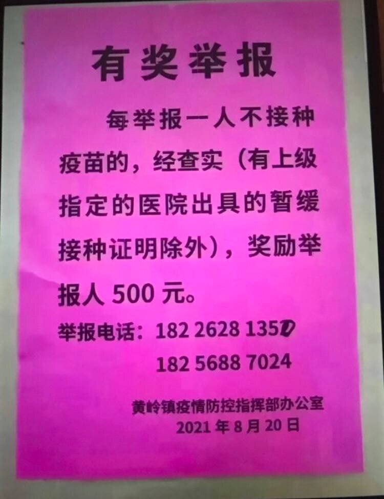 In Huangling town, Guangdong Province, the public are offered a 500 yuan ($77) award for reporting on anyone who is not vaccinated to the authorities. 