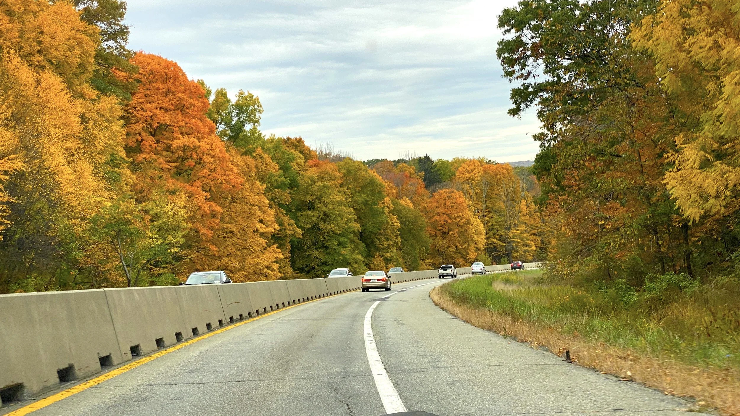 My New Love Diary (5)： “80% of the Earth”&nbsp;  我的新愛情日記（之五）：「80%個地球」