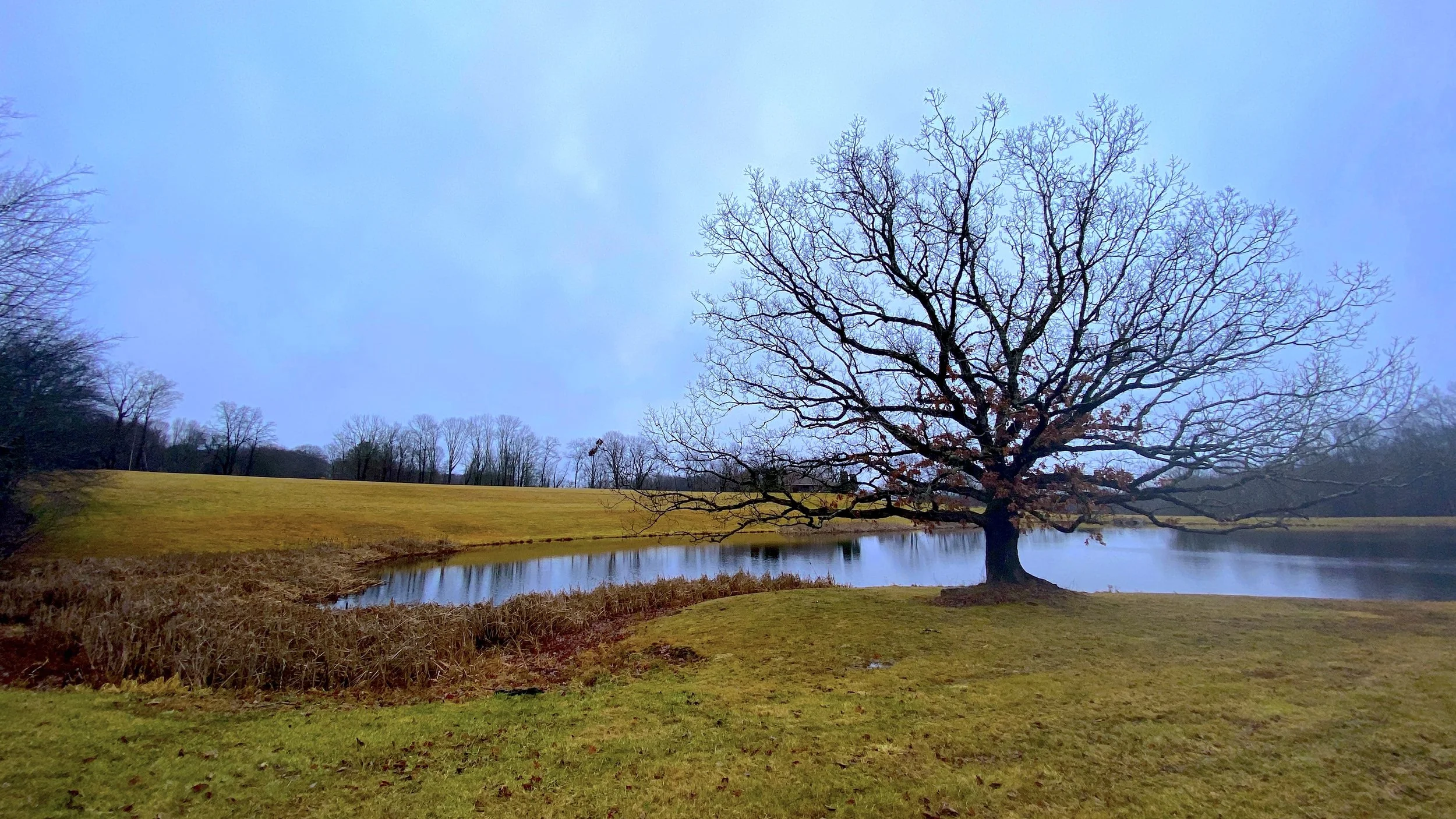【修煉日記】「頓悟」