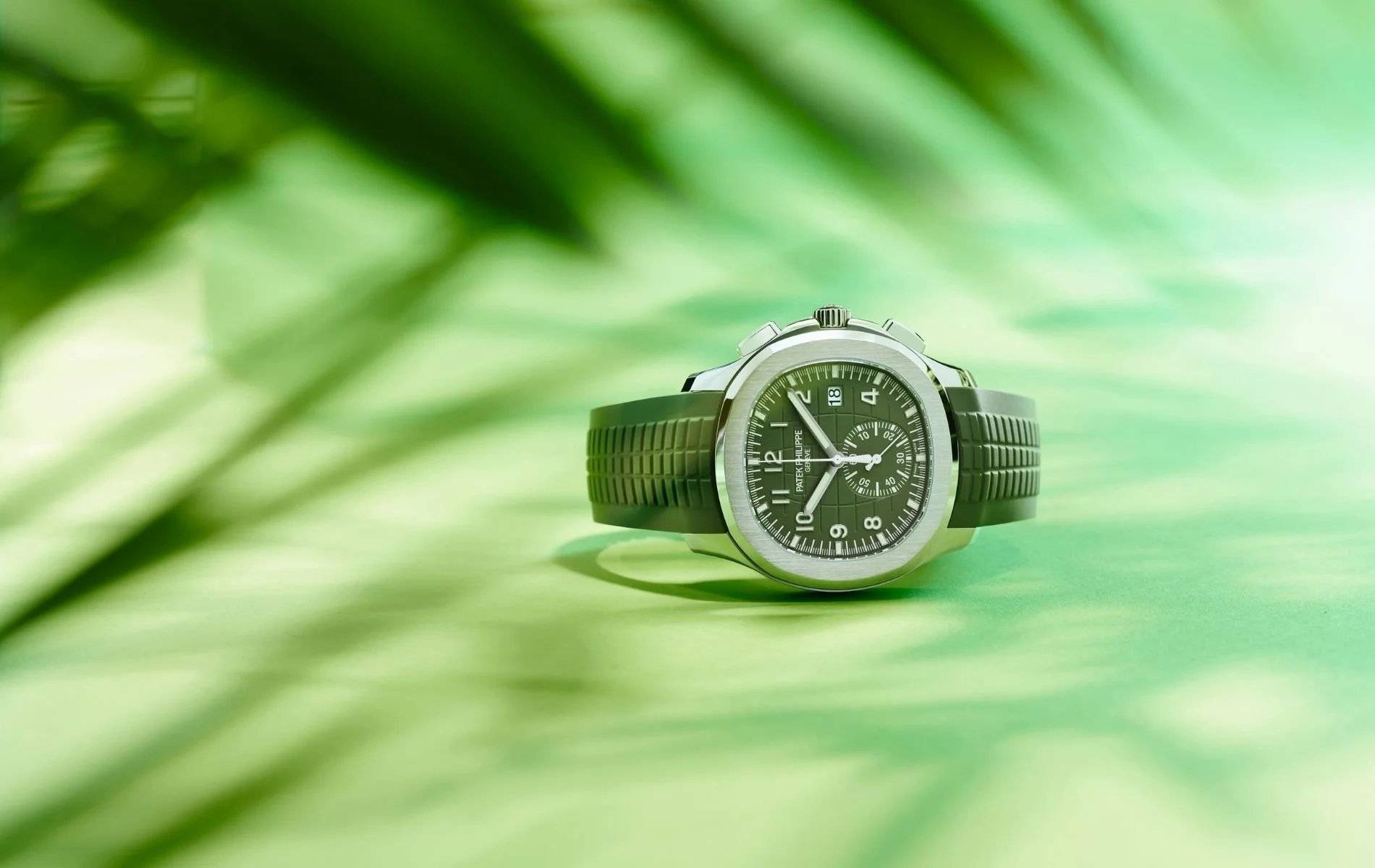 進化論是邪惡而愚蠢的