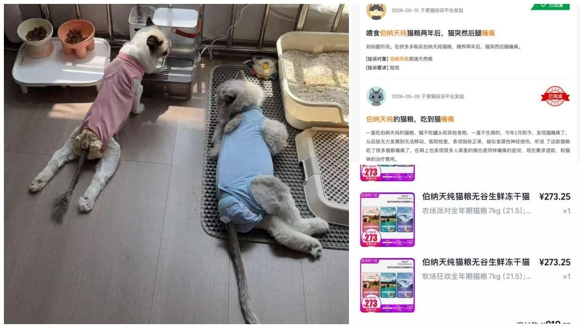 Thousands of Cats Paralyzed in China as Suspicion Falls on Domestic Cat Food