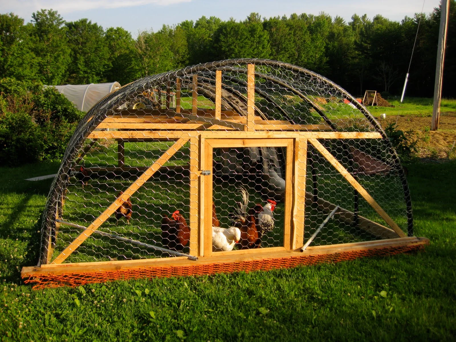 WWOOFing Week #2 (of 4): Memorial Day Weekend, Chicken Palaces, Portland