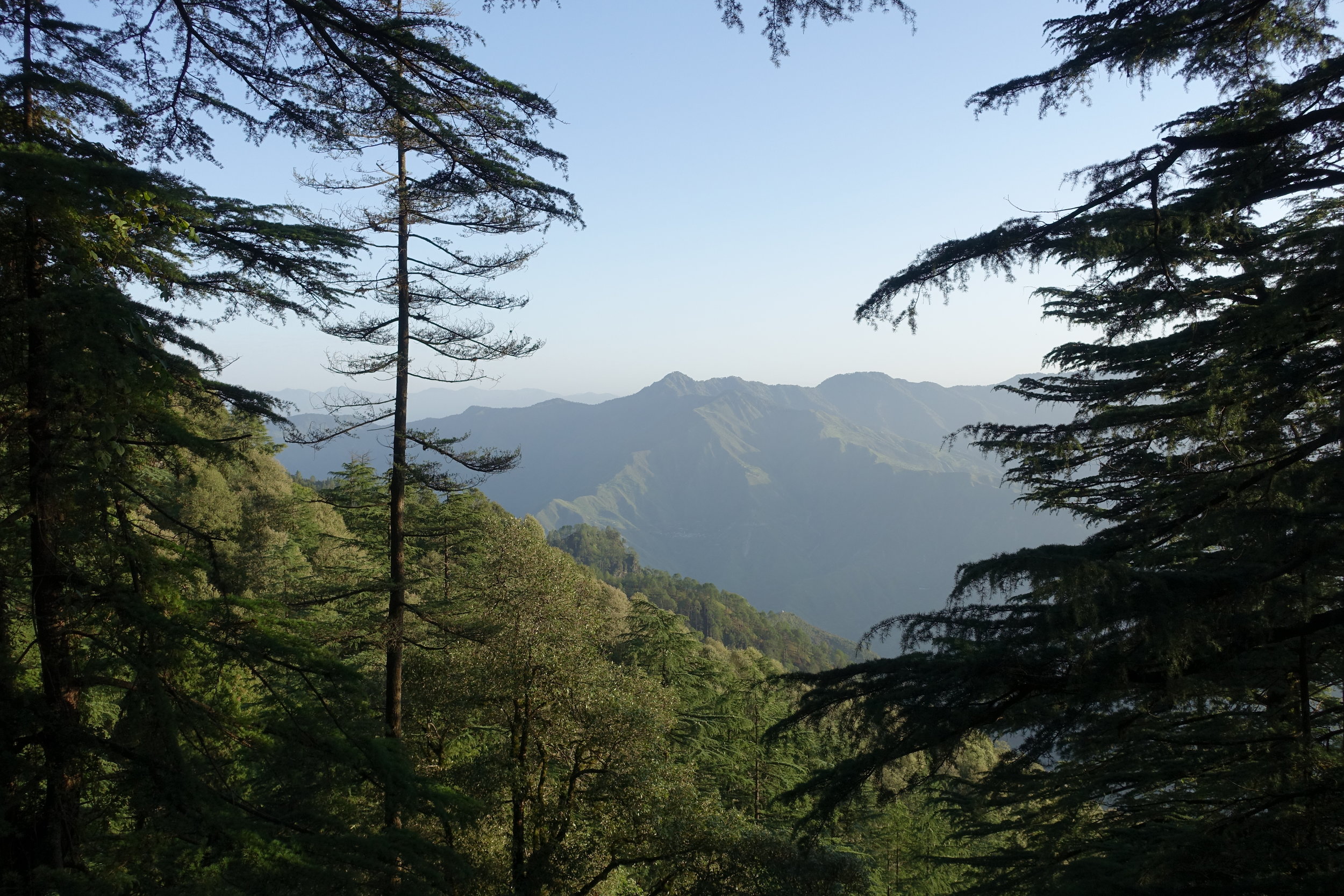 Arriving at Woodstock