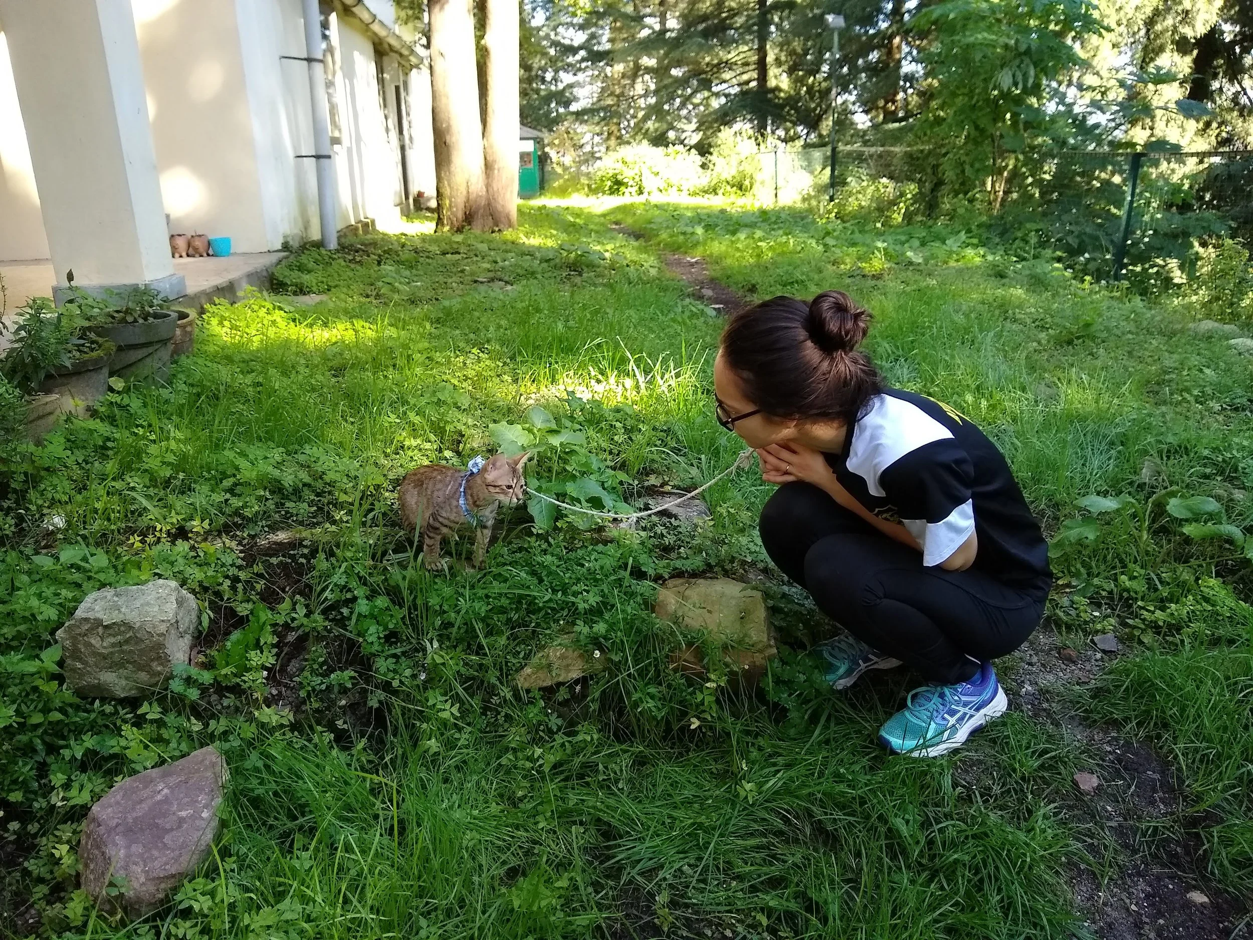 In our front yard