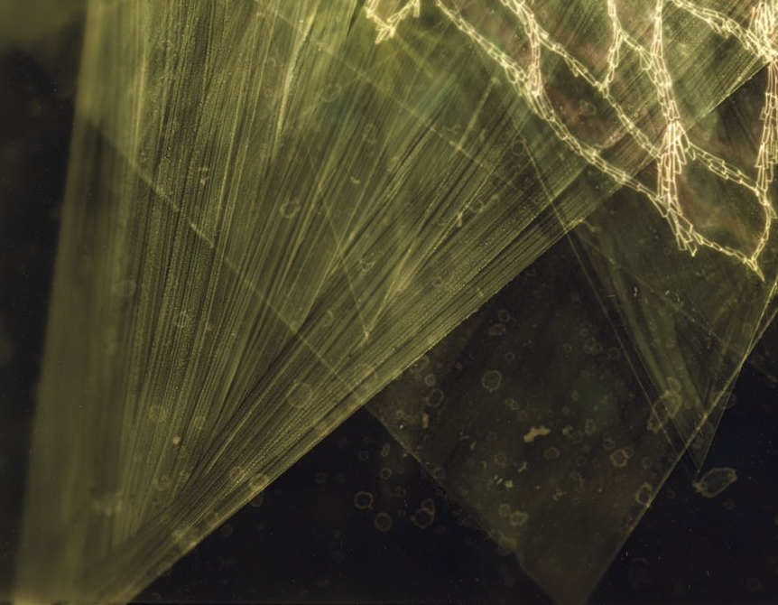 11.refractions CRPD2.jpg