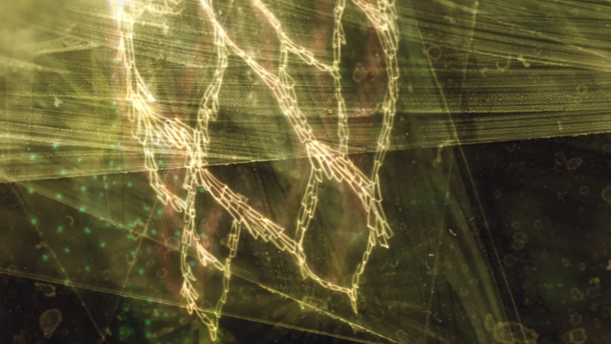 11.refractions copy-2.jpg