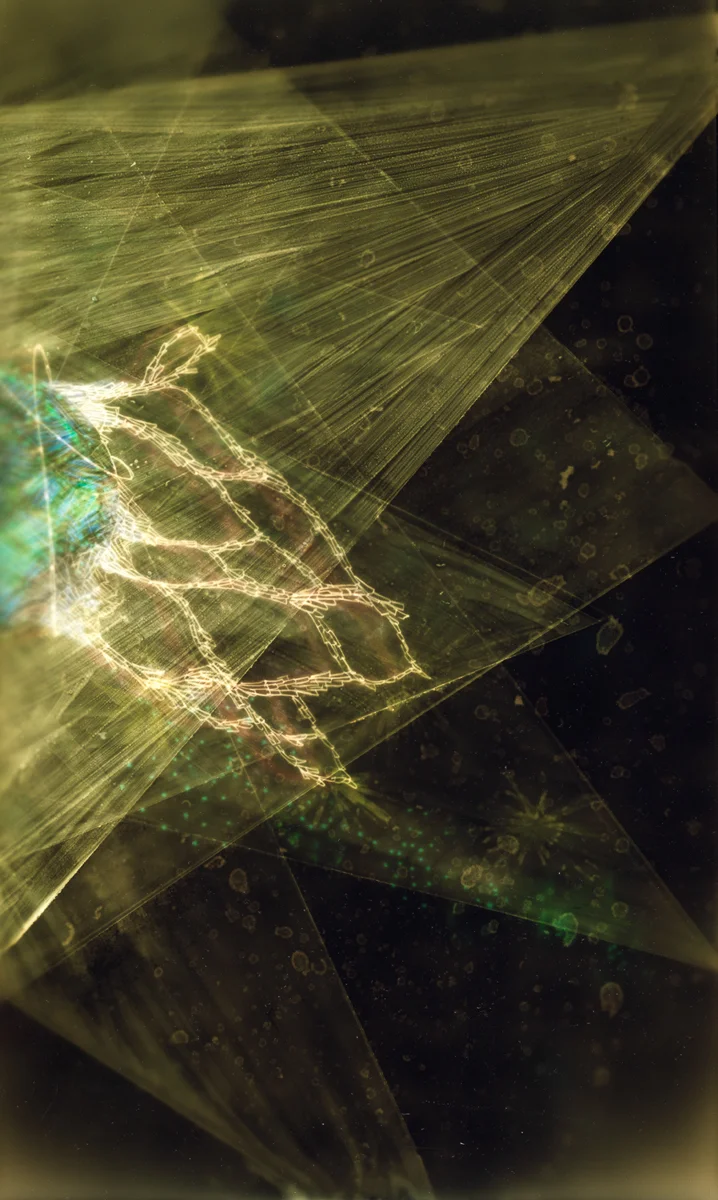 11.refractions copy-5.jpg