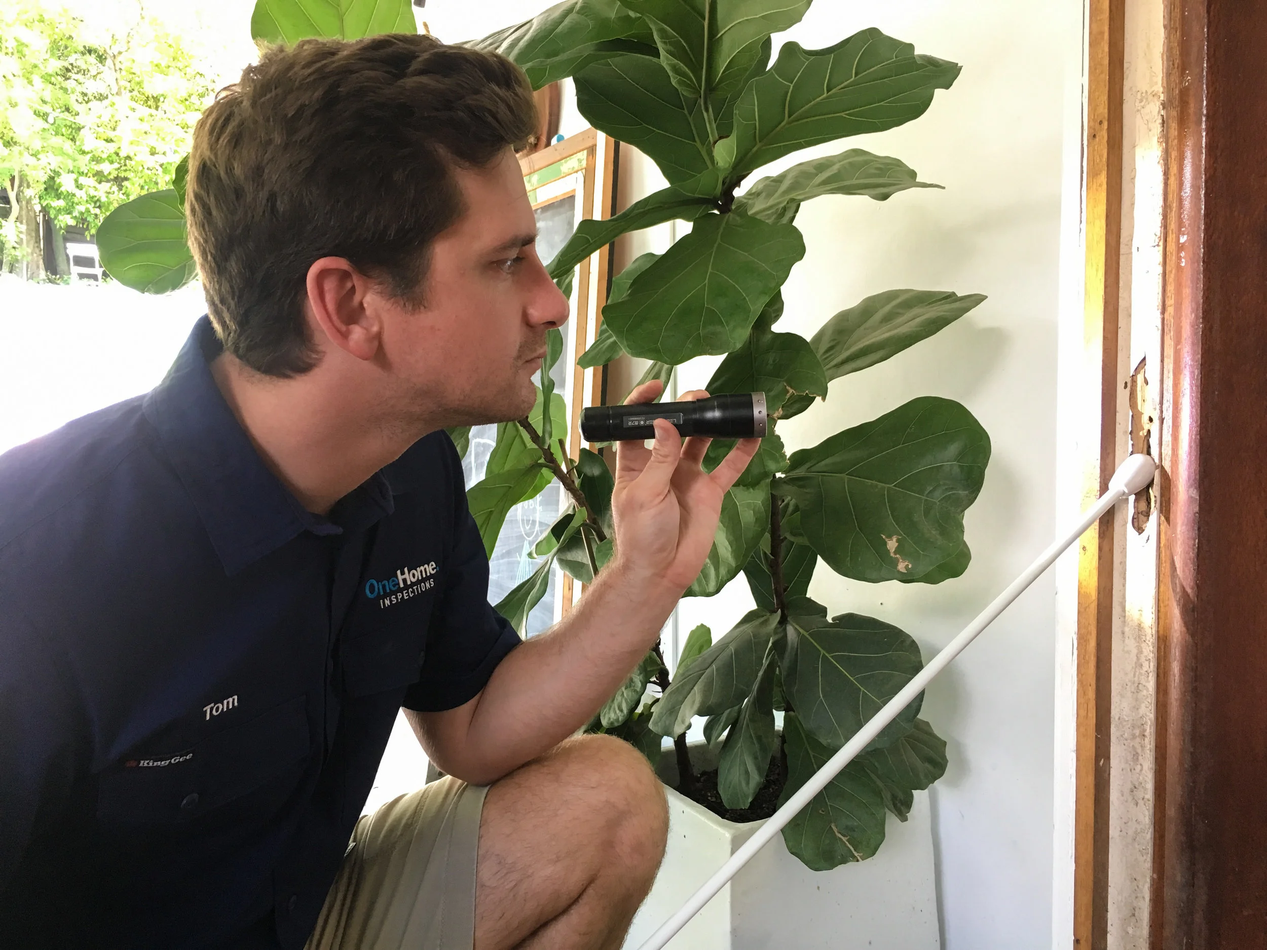 Tom with termite damage