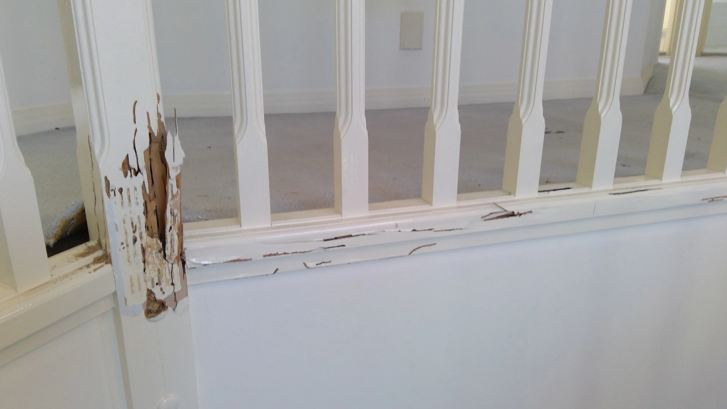 Extensive termite damage to stairs and balustrades