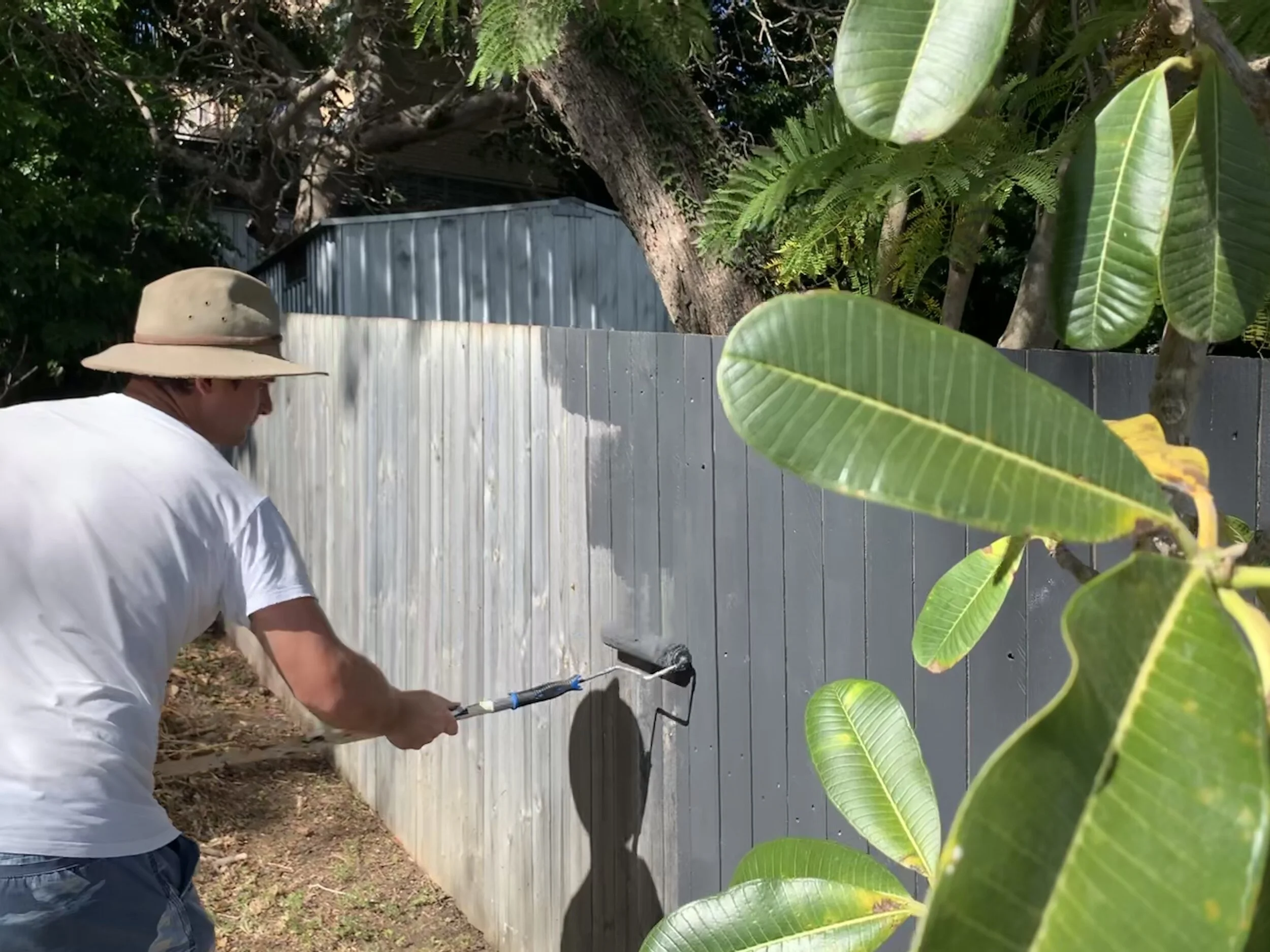 Home Improvement Fence Painting