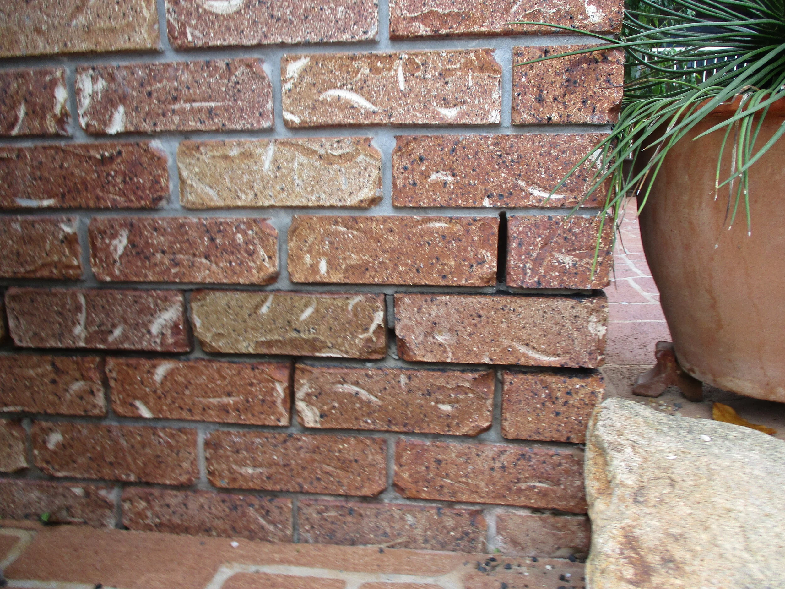 What is Rising Damp?