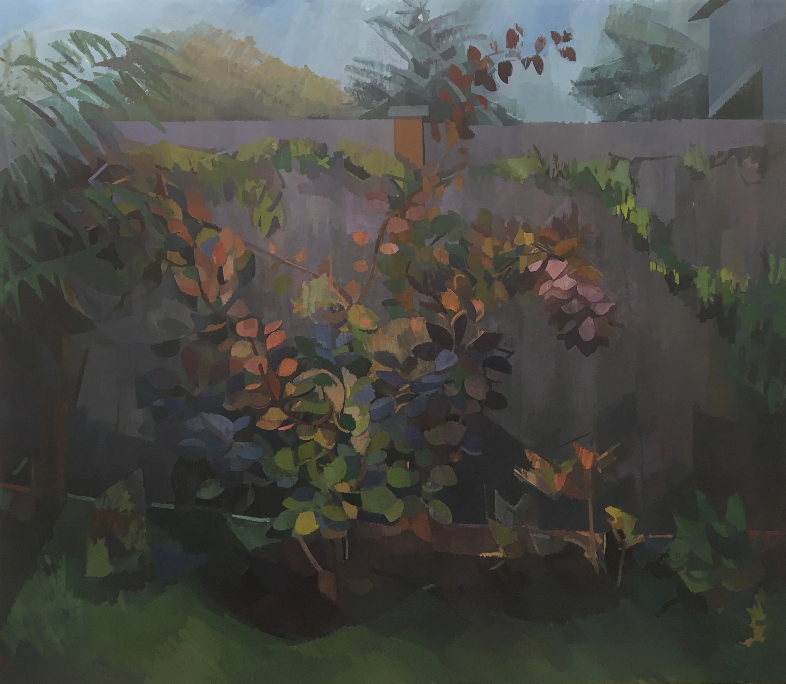 Smokebush , Oil on Canvas, 60” x 72,” 2018. Private Collection.