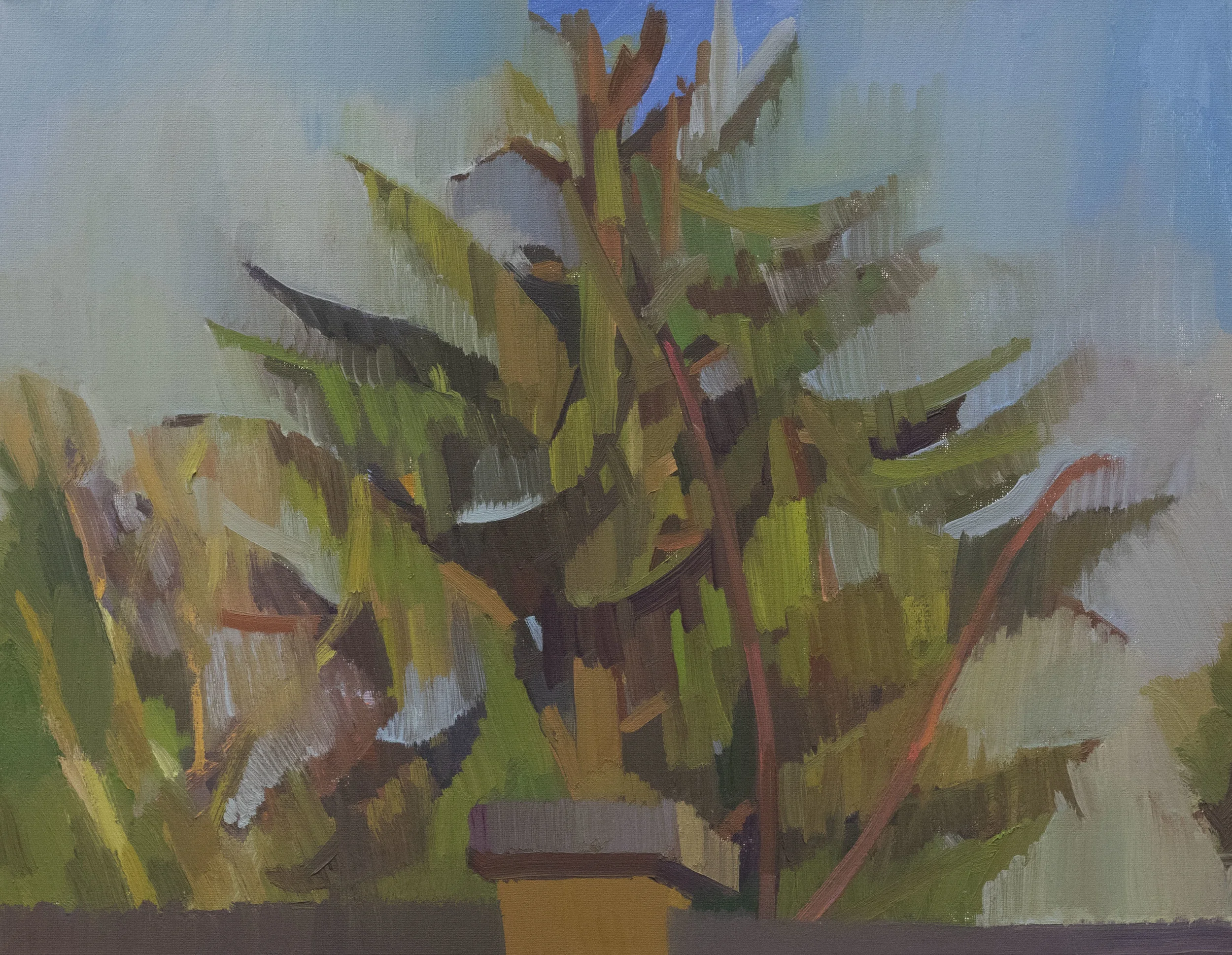 Hemlock & Fence , Oil on Canvas, 14” x 18,” 2018.