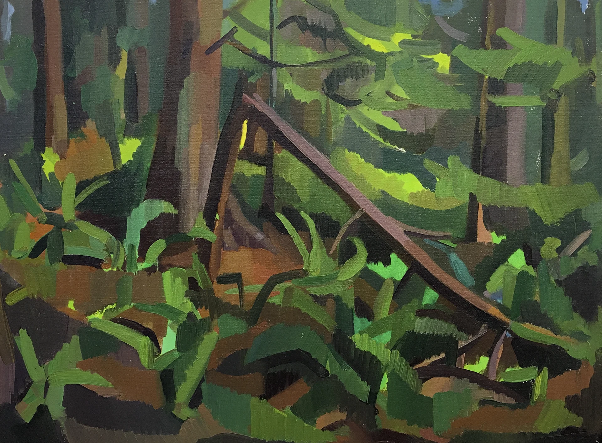 g. gibson gallery