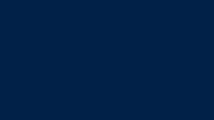 598 Dark Blue