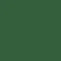 488 Olive Green