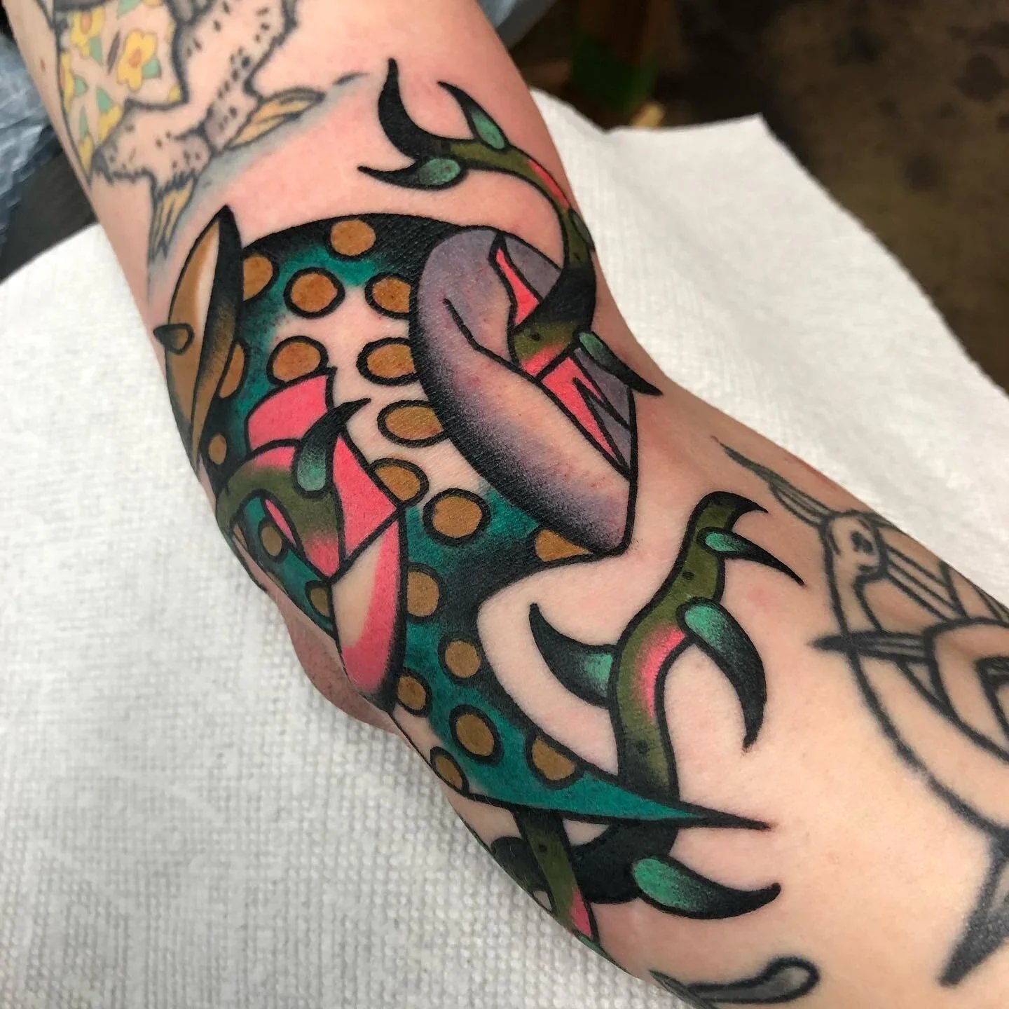 Thorns, Vines, and Shapes