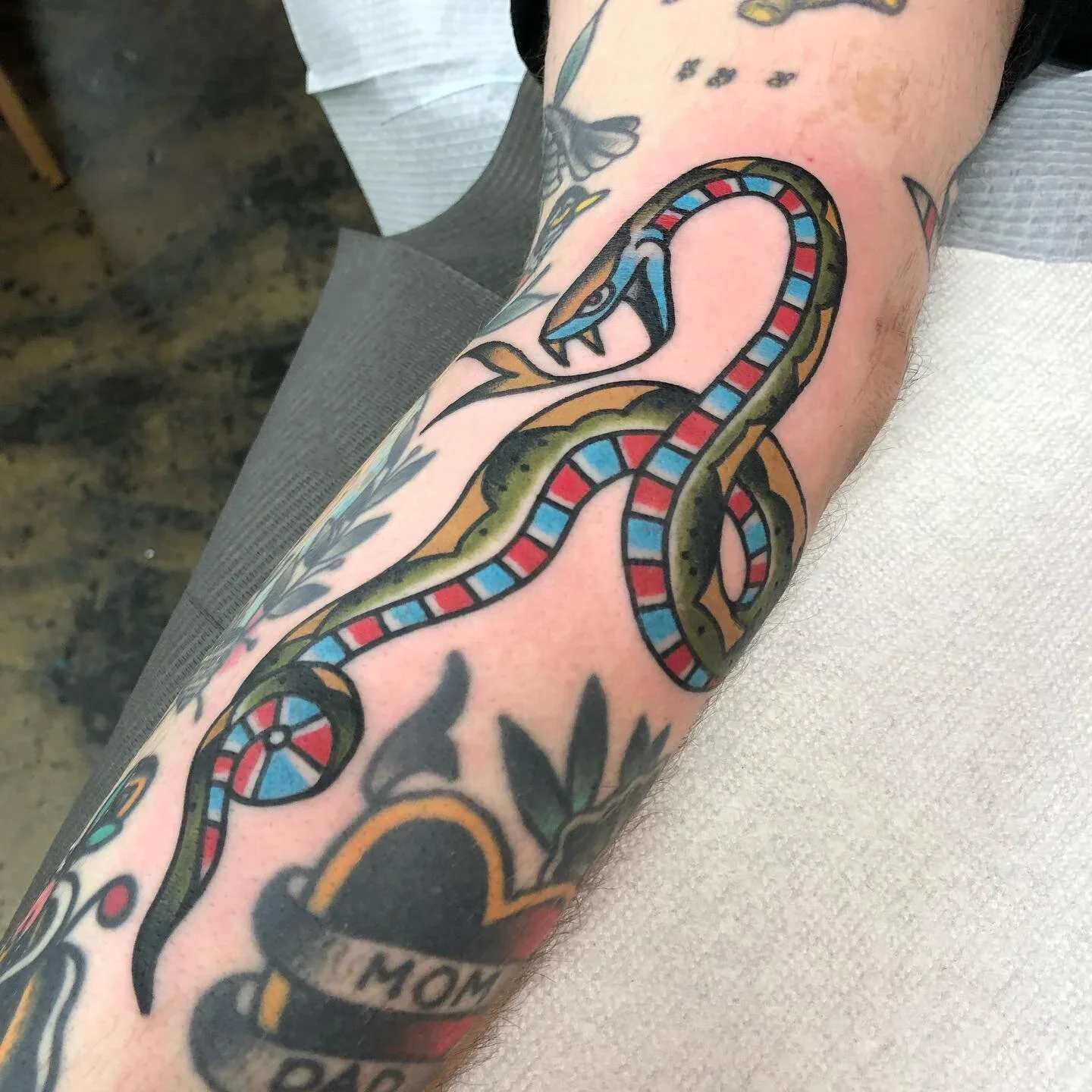 Snake Made to Fit