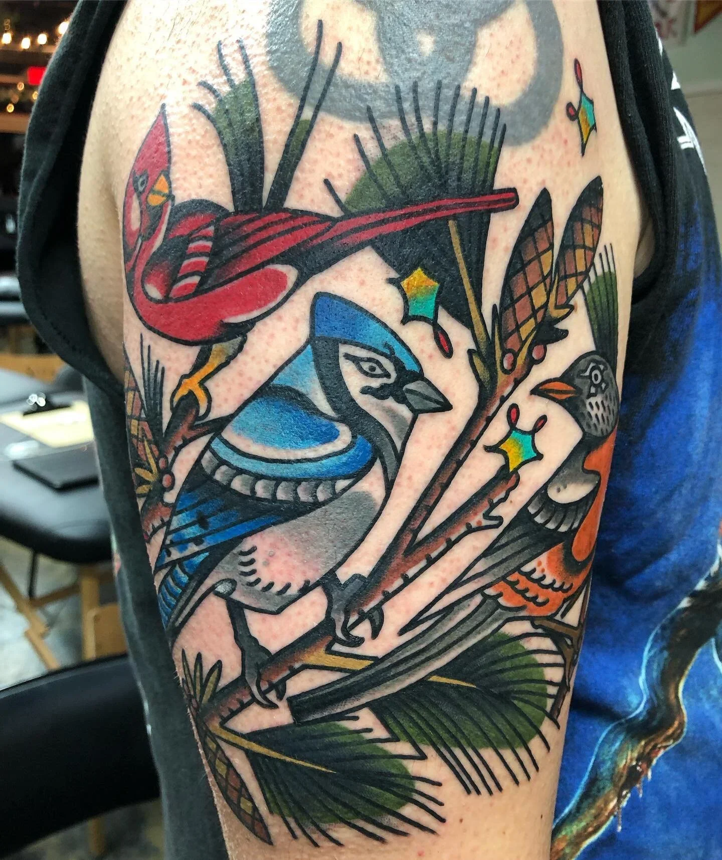 Cardinal, Blue Jay, and Robin