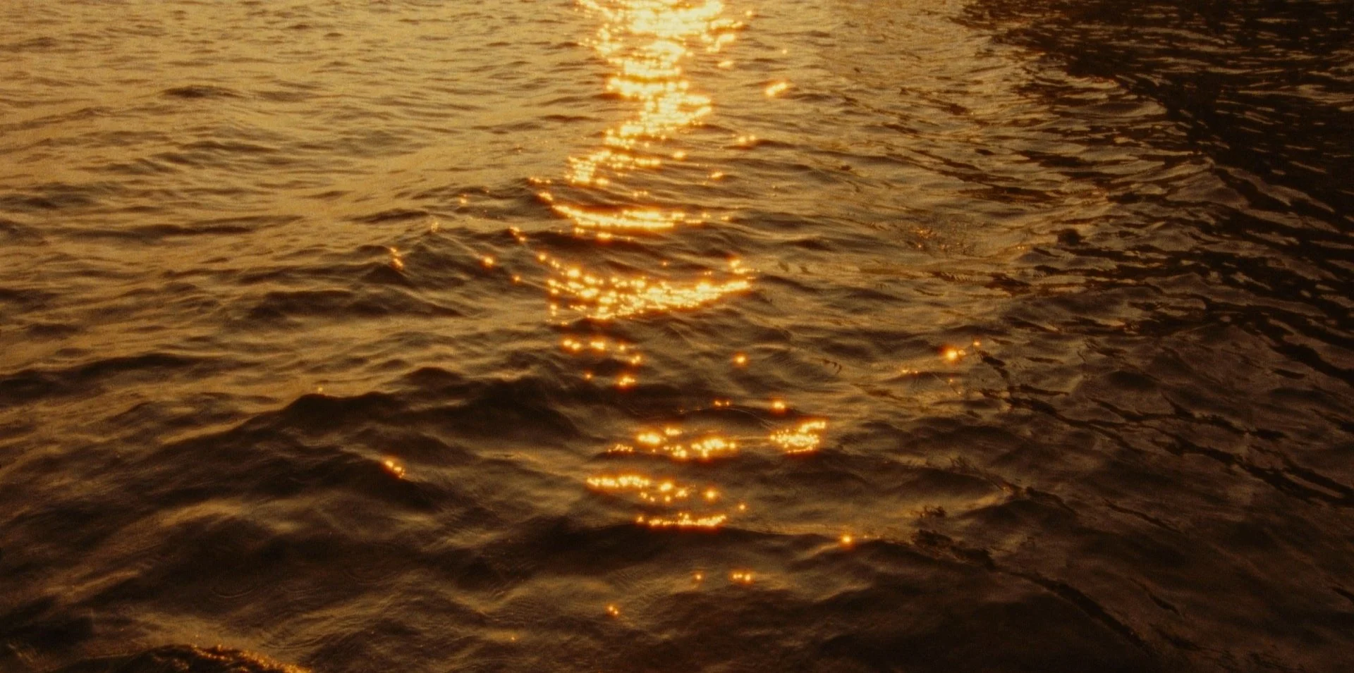 SWIMMING+FOR+SHORE_1.93.29.jpg