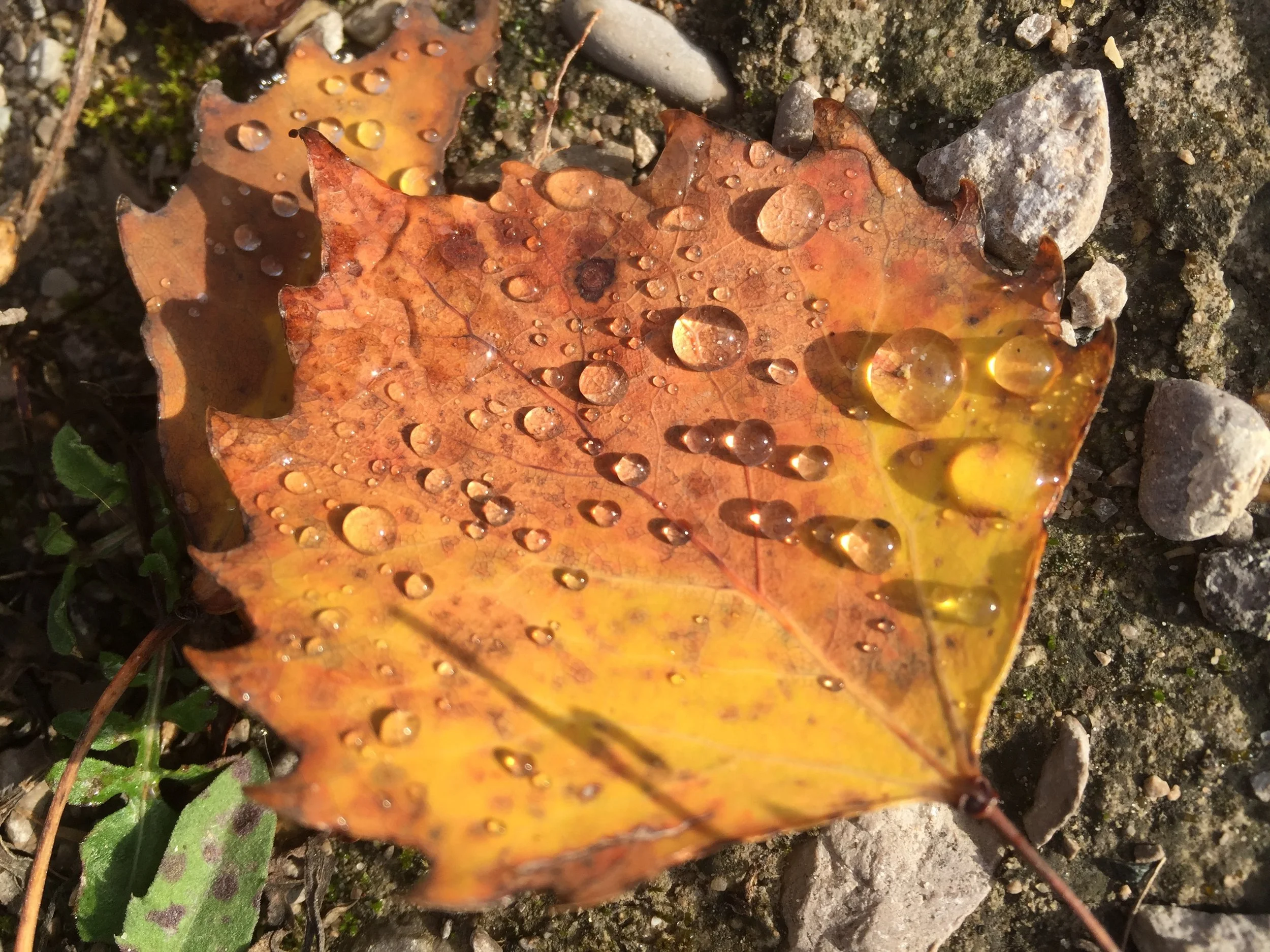 Why We Started a Financial Planning Firm