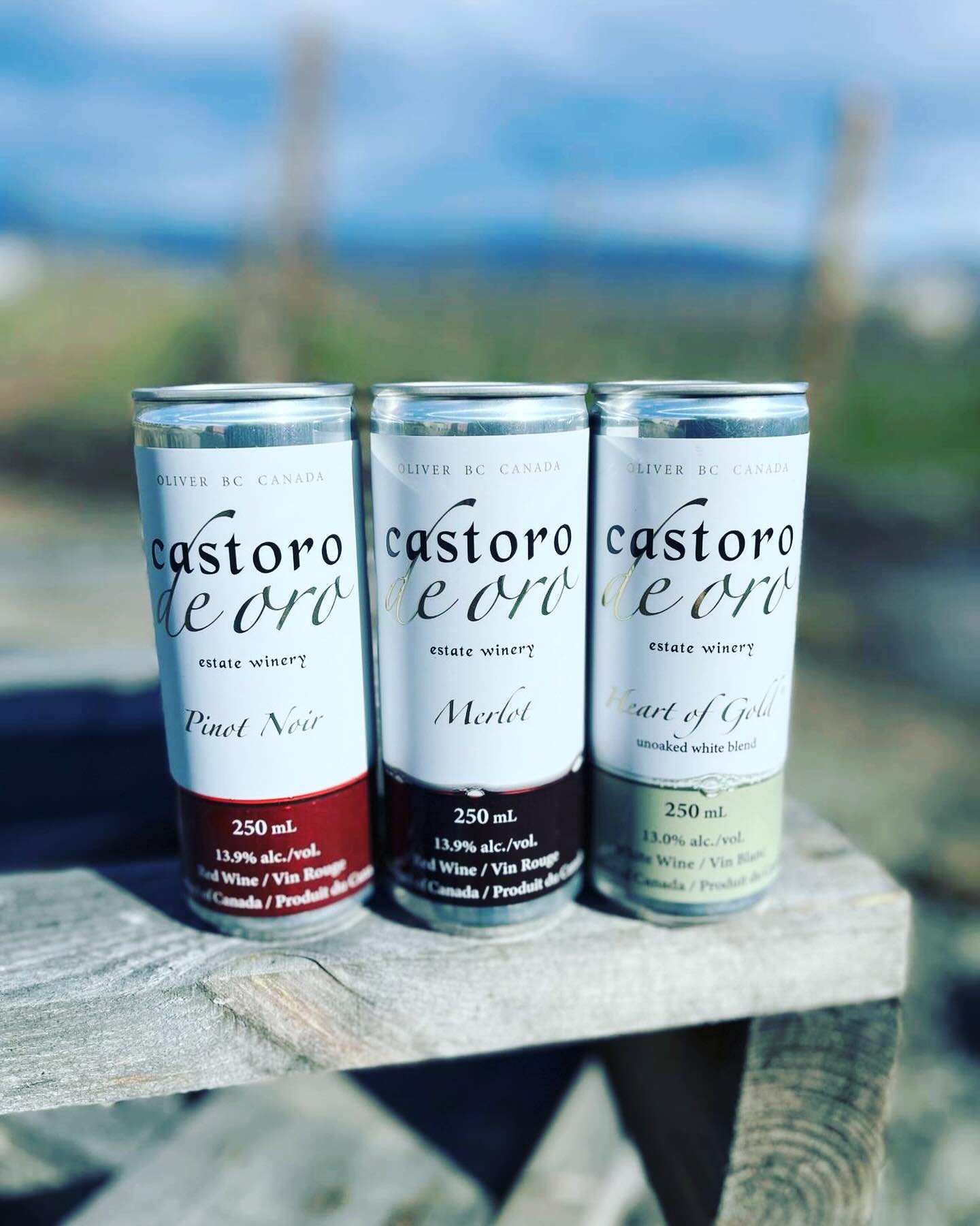 If you haven&rsquo;t already bought into wine in a can, we would certainly consider you late to the game. The fine folks @castorodeoro have literally been winning gold medals for their canned wine... It&rsquo;s that good!