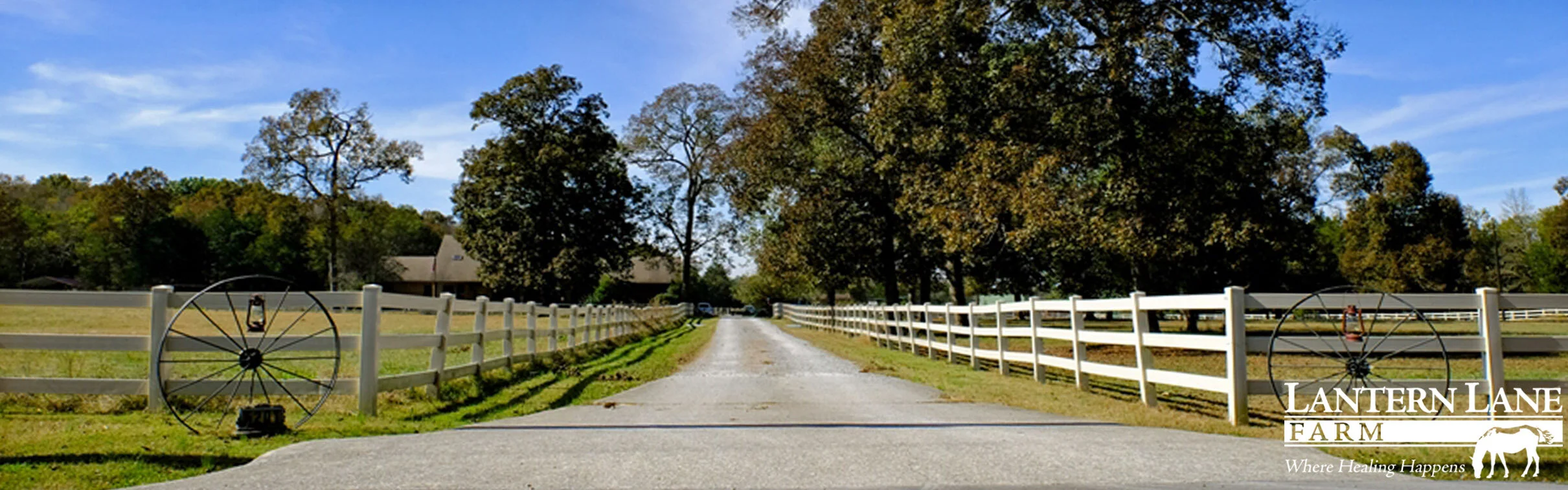 Lantern Lane Farm