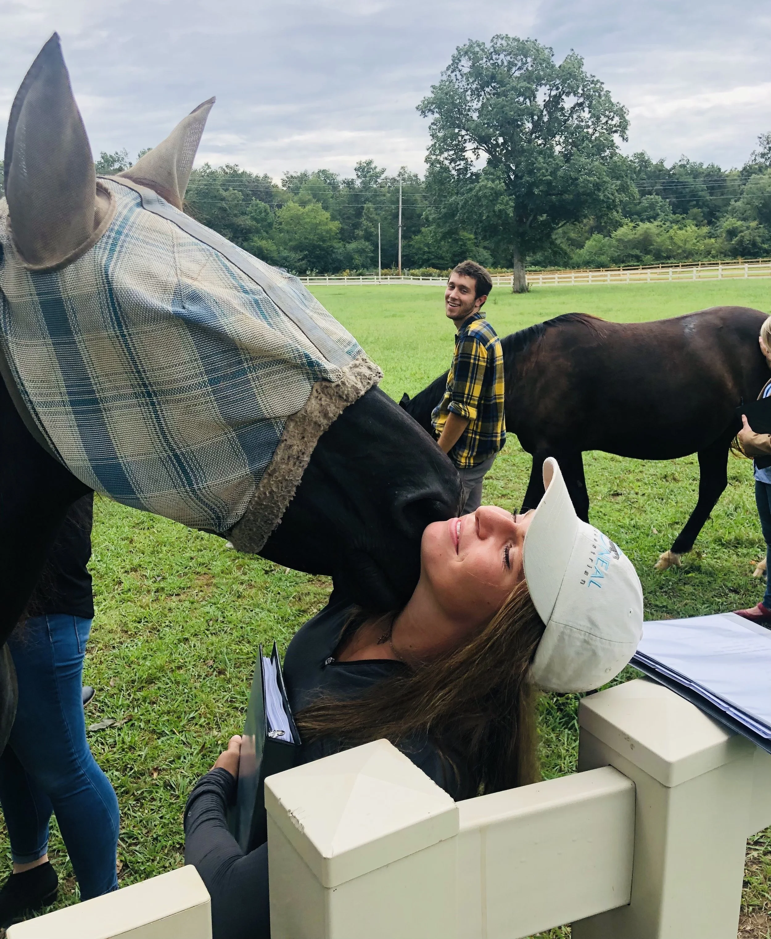 Internships at Lantern Lane Farm Counseling