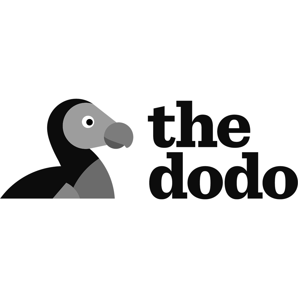 the-dodo-poolside-etiquette.png