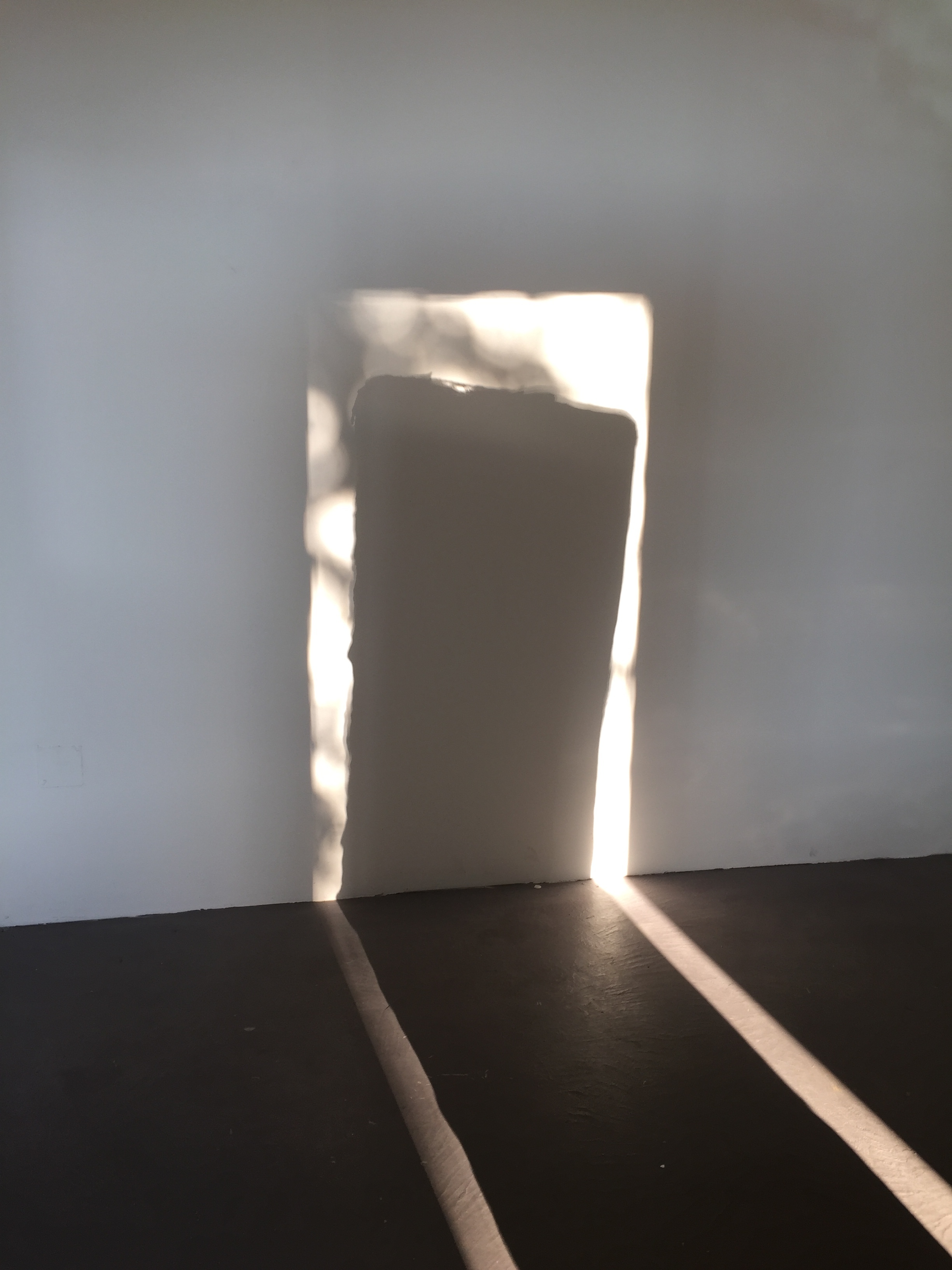   For my Sister , 2016, sunlight and shadow 