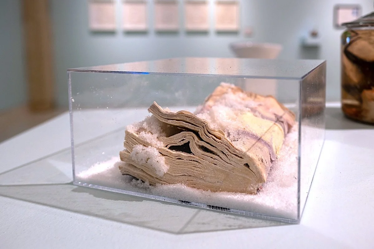   Accursed Book: Sovereignty  (installation view), 2025-26, salts,  The Accursed Share  by George Batailles, plexiglass, 9.5" x 10" x 5" 