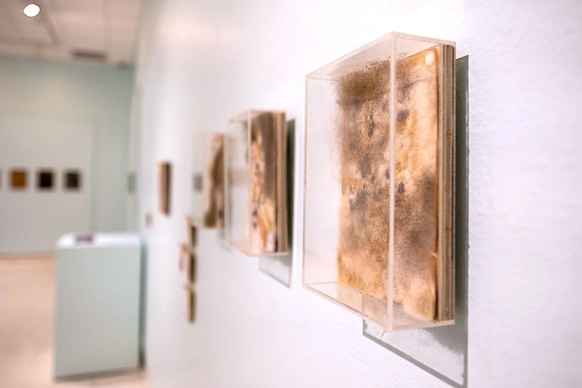   The Accursed Share, Epilogue, The Present Age and Sovereign Art  (installation view), 2025-26, book page, microbes, wood, plexiglass, 5" x 9" x 1” each 