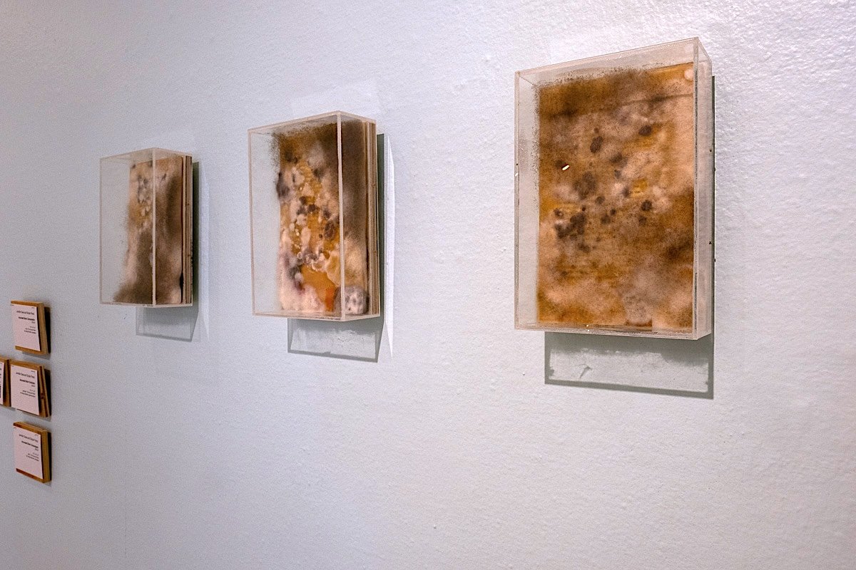   The Accursed Share, Epilogue, The Present Age and Sovereign Art  (installation view), 2025-26, book page, microbes, wood, plexiglass, 5" x 9" x 1” each 