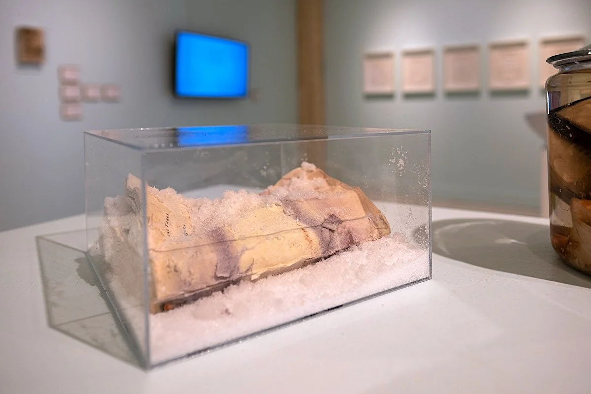   Accursed Book: Sovereignty  (installation view), 2025-26, salts,  The Accursed Share  by George Batailles, plexiglass, 9.5" x 10" x 5" 