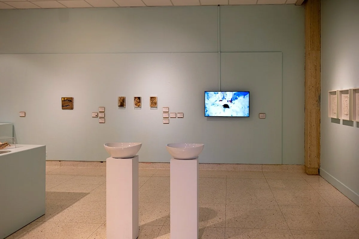  installation view as part of Land Arts of the American West 2025 exhibition at Texas Tech University 