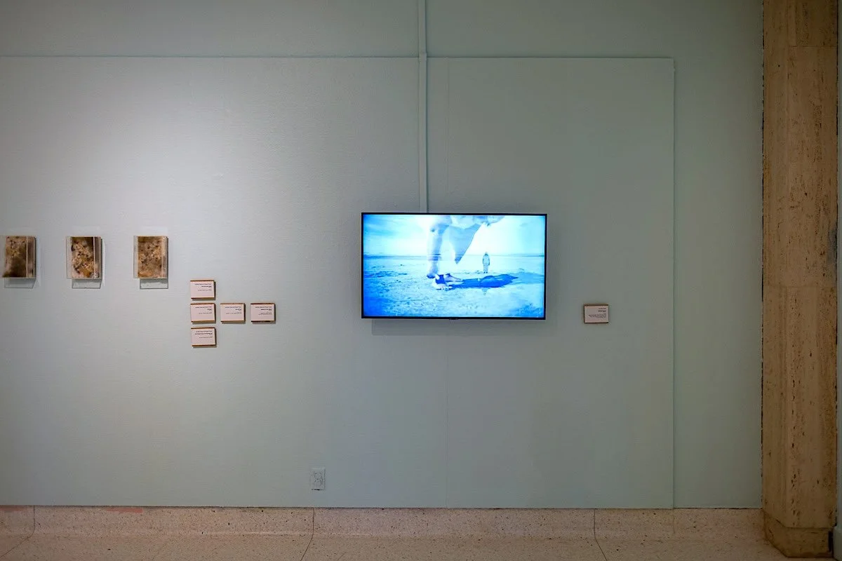 20260312_145915_landarts_cjt.jpg