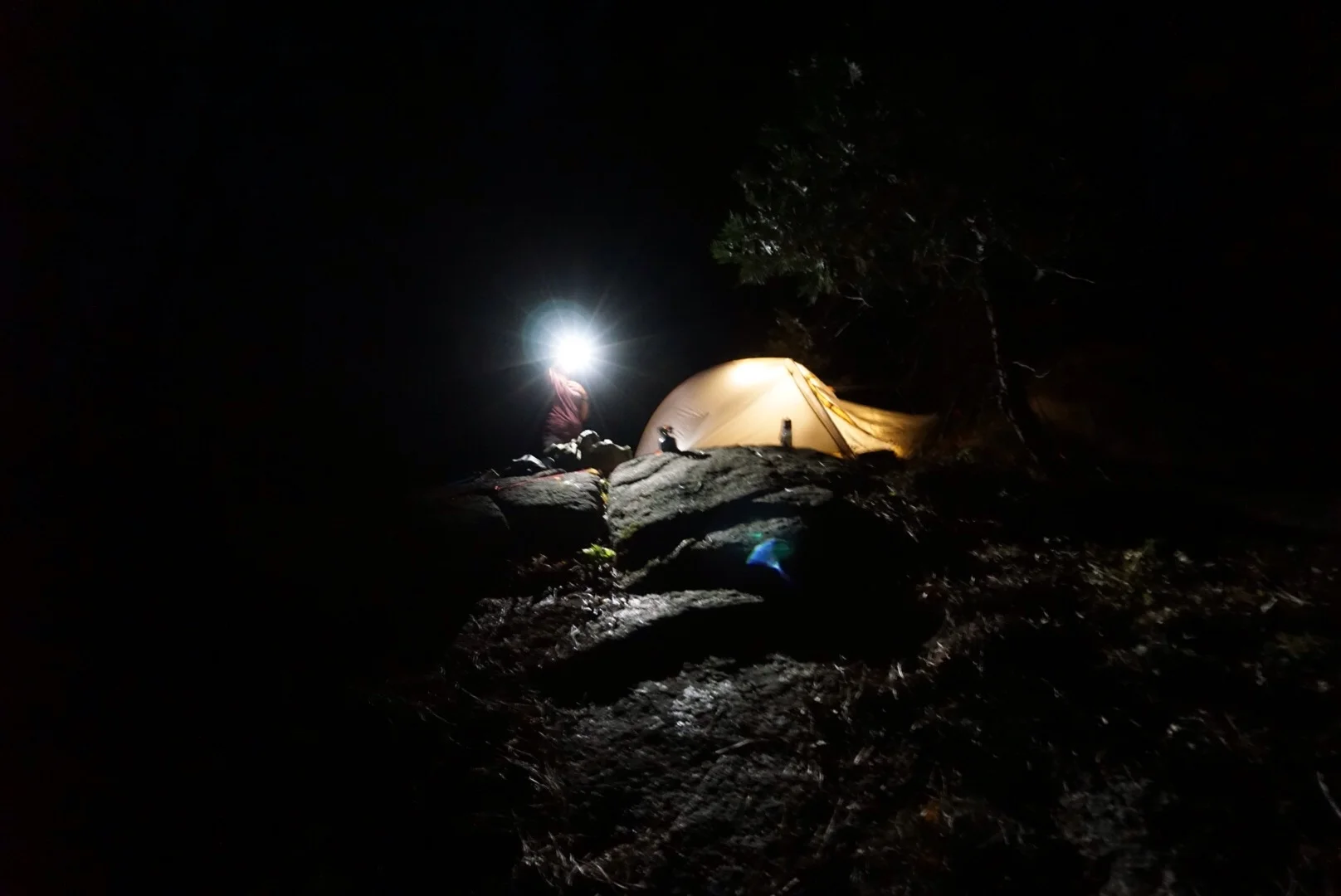 Home - Yosemite Naitonal Park 