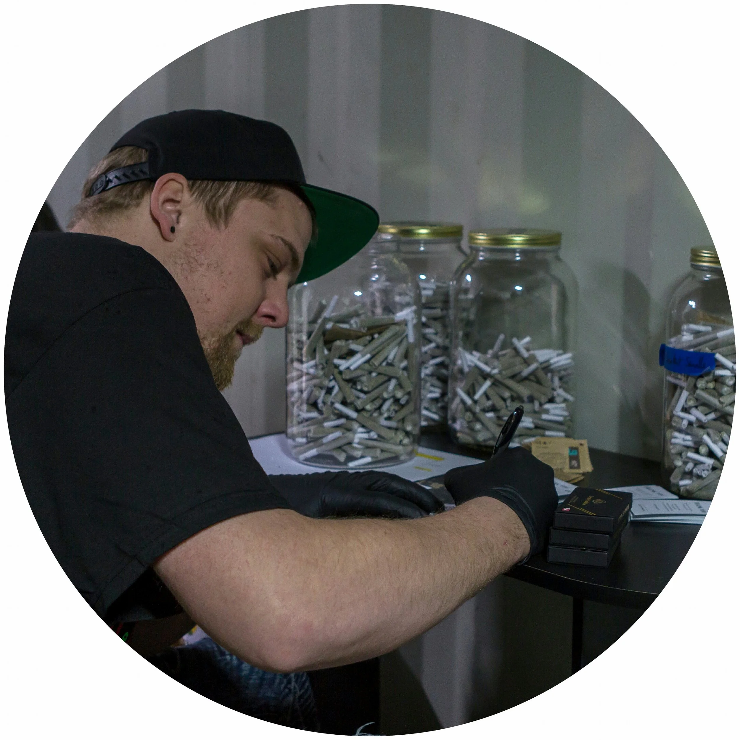 Hand Rolling Prerolls.jpg