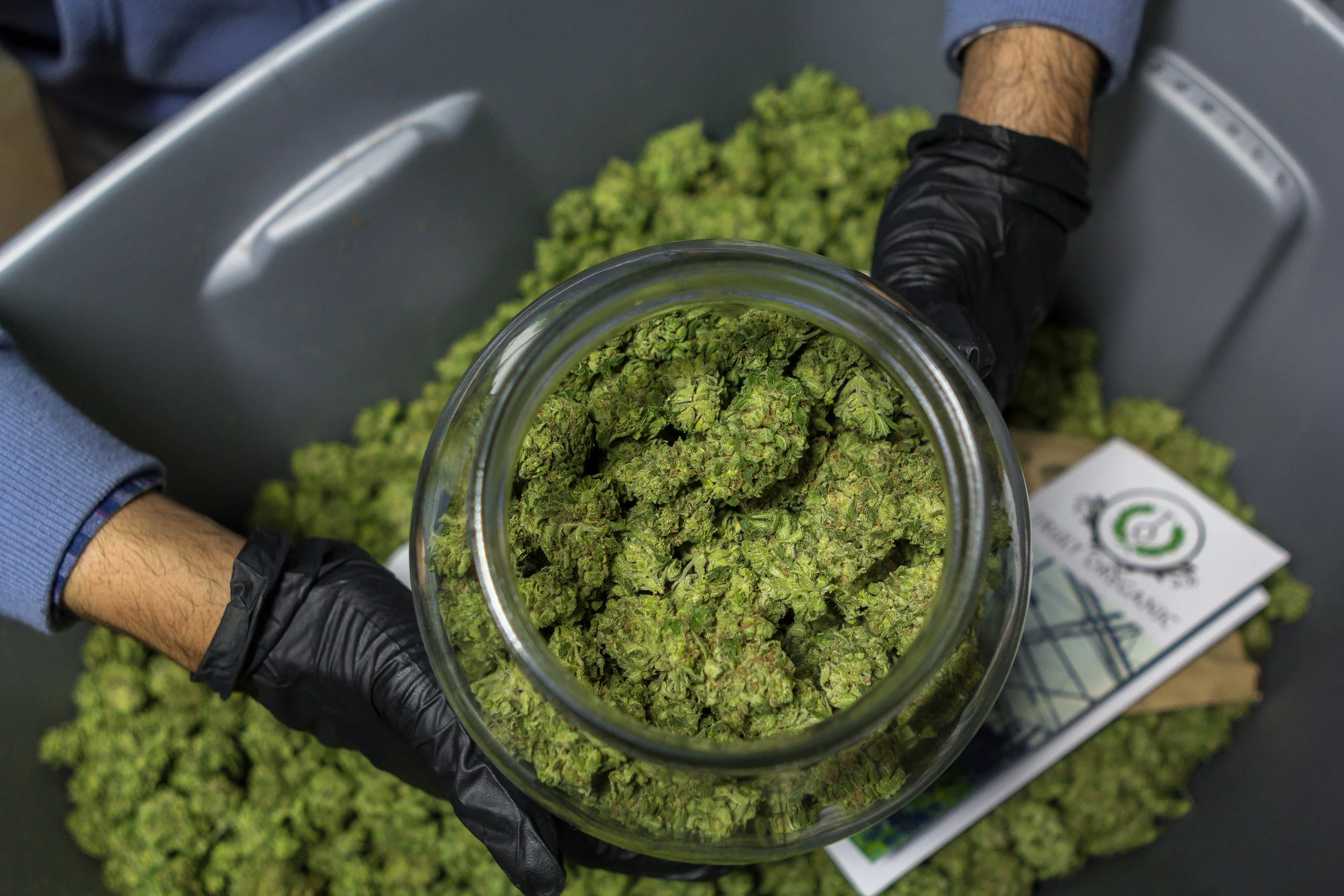 Oregon Huckleberry in Jar.jpg