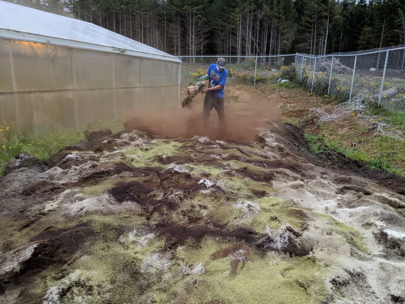 soil.jpeg