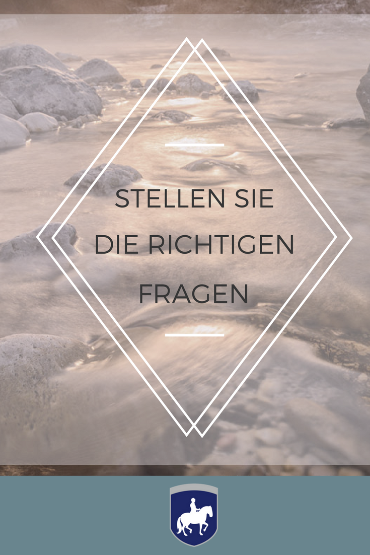 Stellen Sie die richtigen Fragen