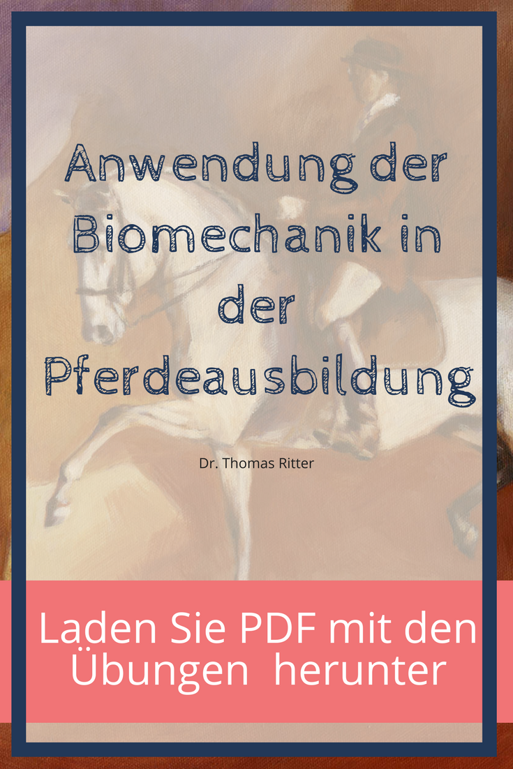 Anwendung der Biomechanik in der Pferdeausbildung