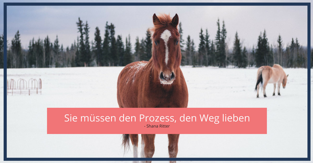 Sie müssen den Prozess, den Weg lieben