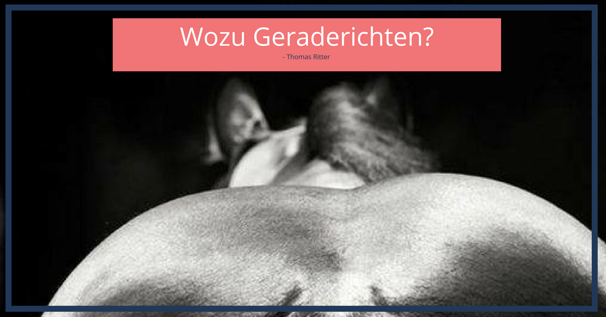 051blog Wozu Geraderichten_.png