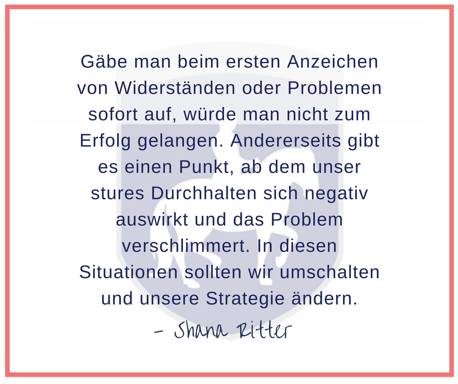 055 Gäbe man beim ersten Anzeichen von Widerständen oder Problemen sofort auf....png