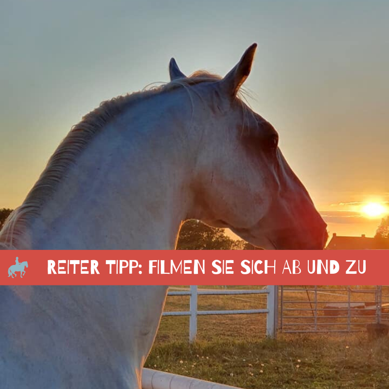 Tipp: Filmen Sie sich ab und zu [+ VIDEO] 