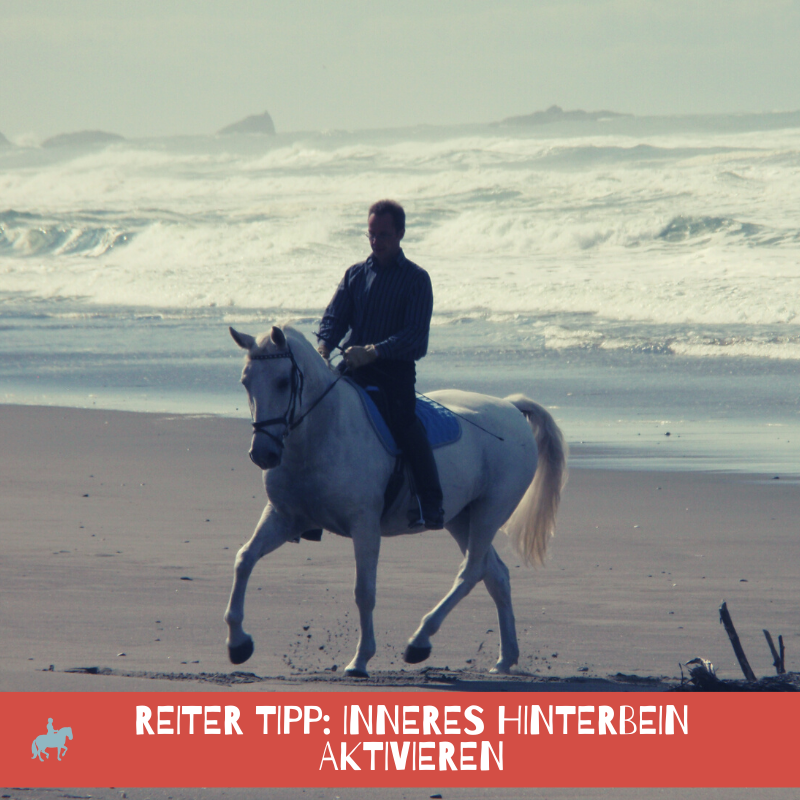 Tipp: Inneres Hinterbein aktivieren [+ VIDEO] 