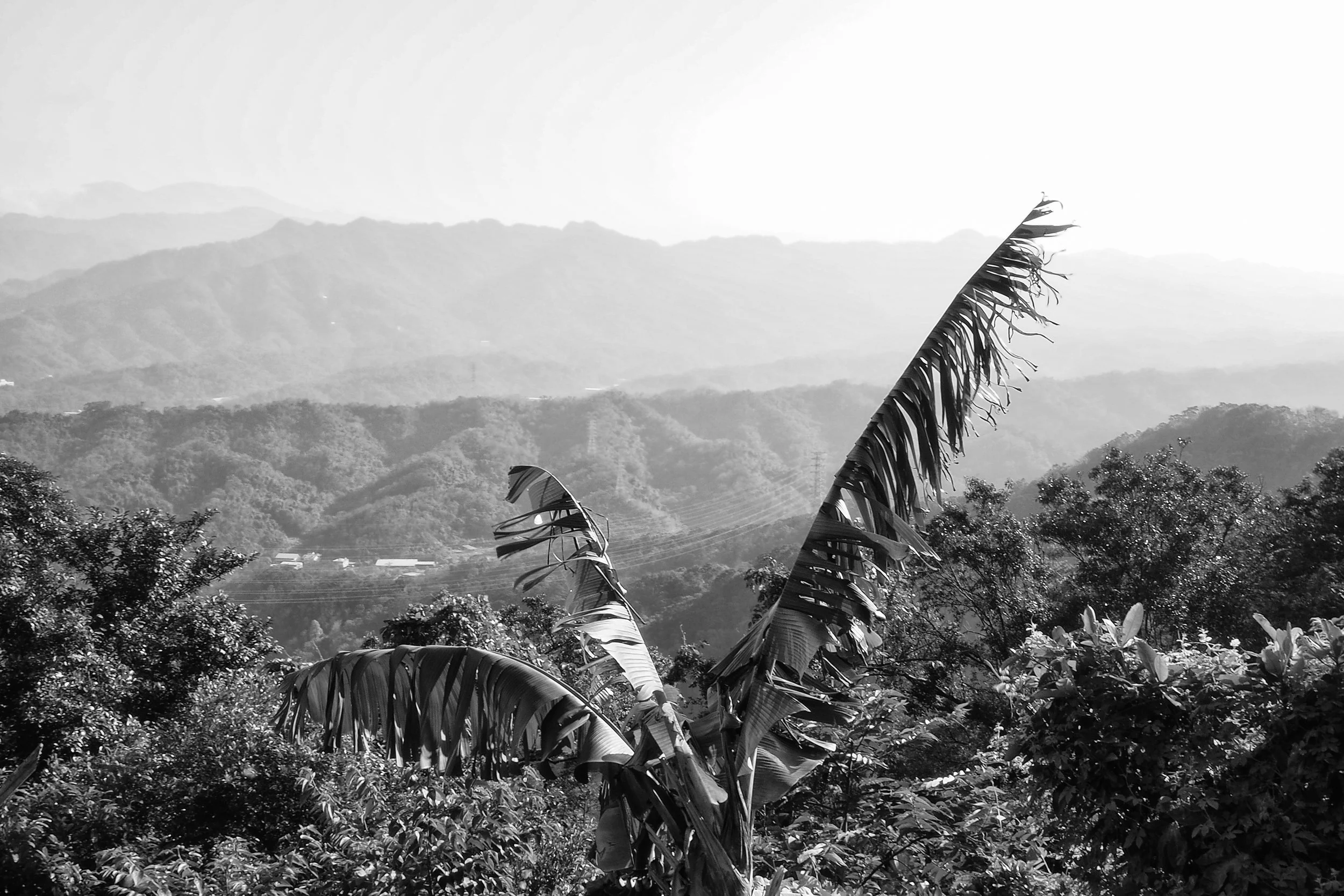 the haze over the mountains. f22, ISO 200, 1/10, 35mm